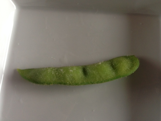 0608edamame